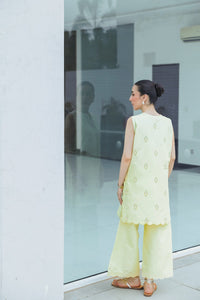 LIME YELLOW LUXURY EMBROIDERED 2PCS SET (NPA2-25304) - READY TO WEAR