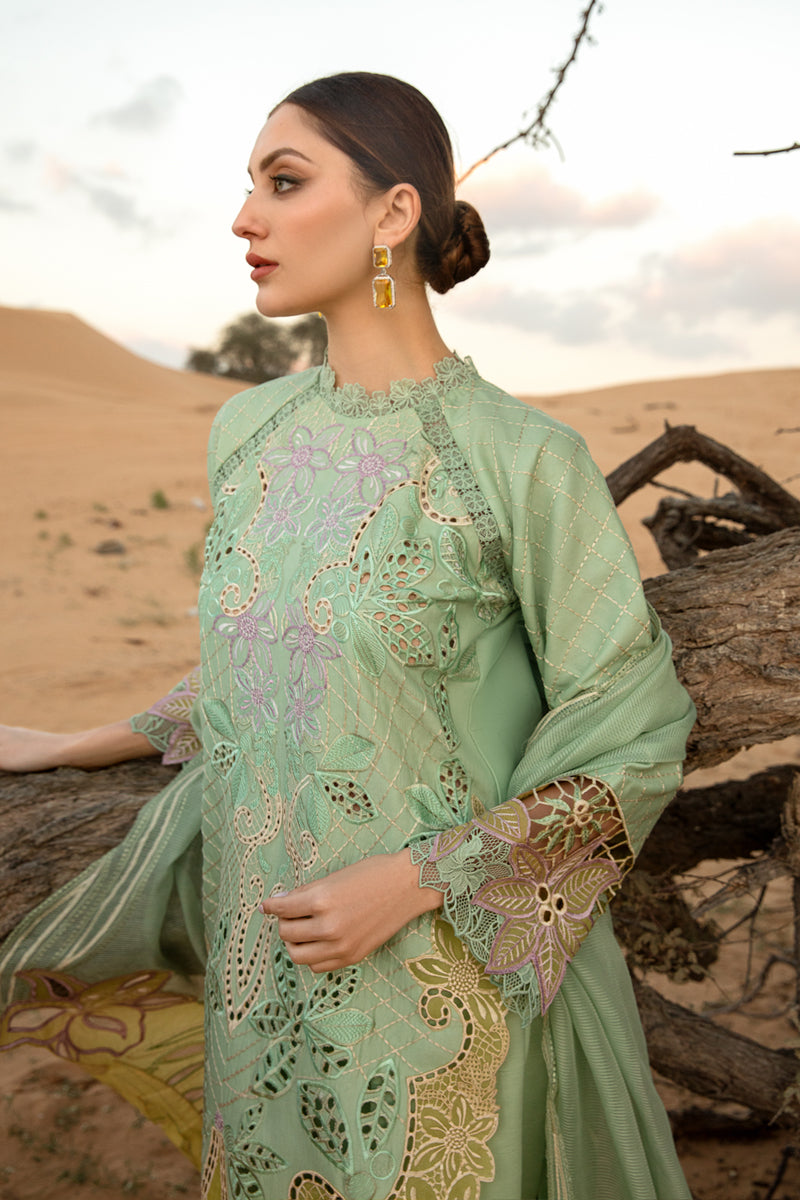 ELNAZ Rang Rasiya