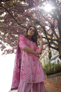 Design 1A SN Basics 2025 UNSTITCHED