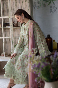 Design 1B Vital 2025 (Vol. 2) Unstitched