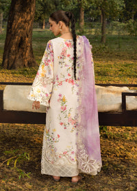PETALS AND PROMISES - D2B