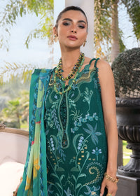 BEAUTY IN BLOOM - D3B