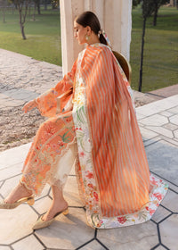 A SUMMER DANCE - D2A