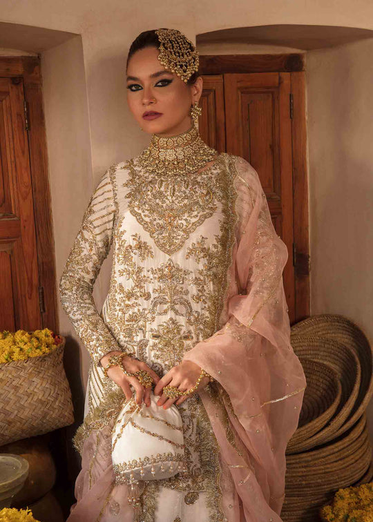 Nargis KANWAL MALIK