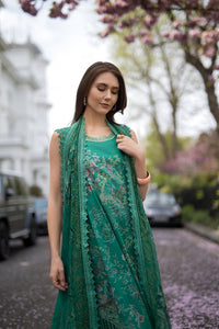 Design 5B SN Basics 2025 UNSTITCHED
