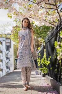 Design 6B SN Basics 2025 UNSTITCHED