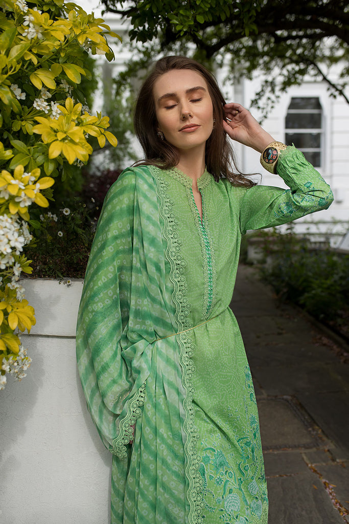 Design 7B SN Basics 2025 UNSTITCHED