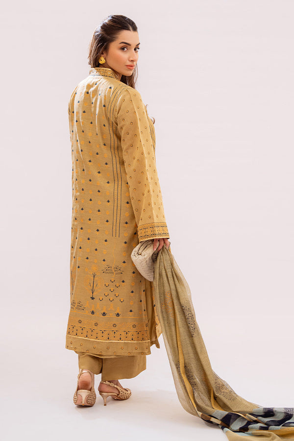 Zarnish Amna Arshad