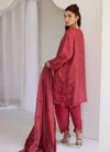 Solara Scarlett Shirt, Pants and Dupatta