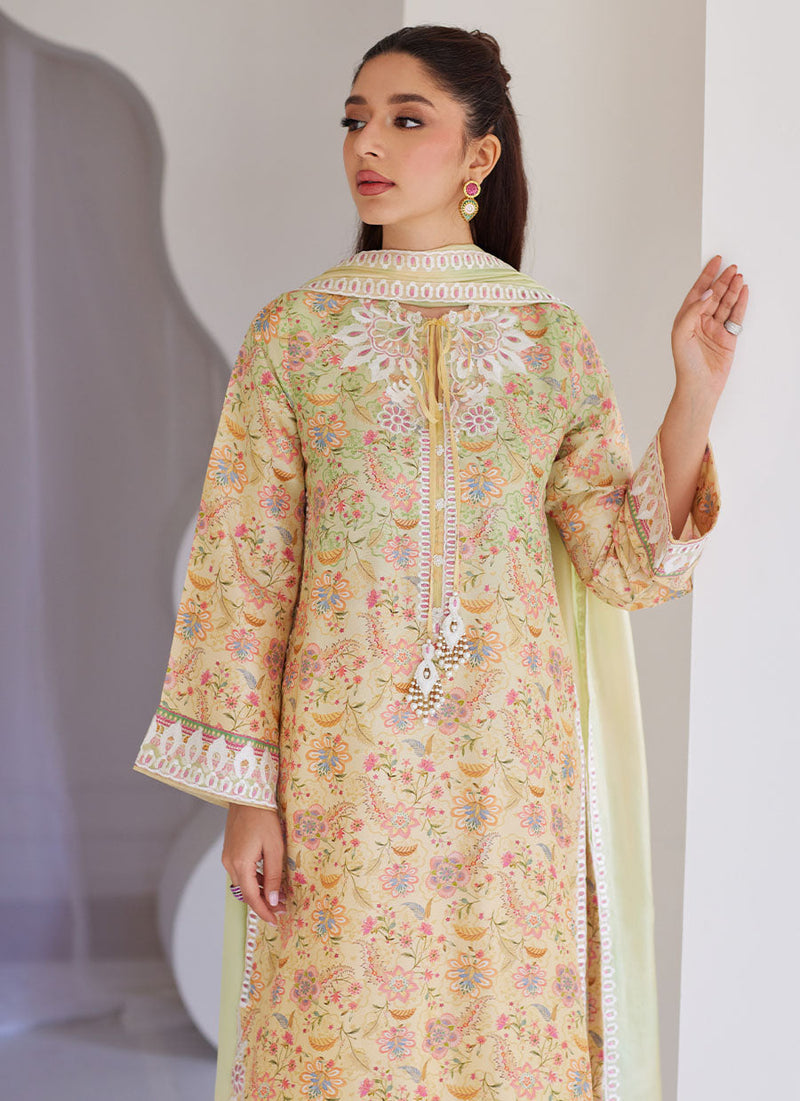 Leora Ombre Shirt, Pants and Dupatta