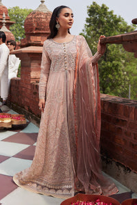 TANEEZ Mushq