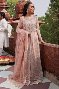 TANEEZ Mushq