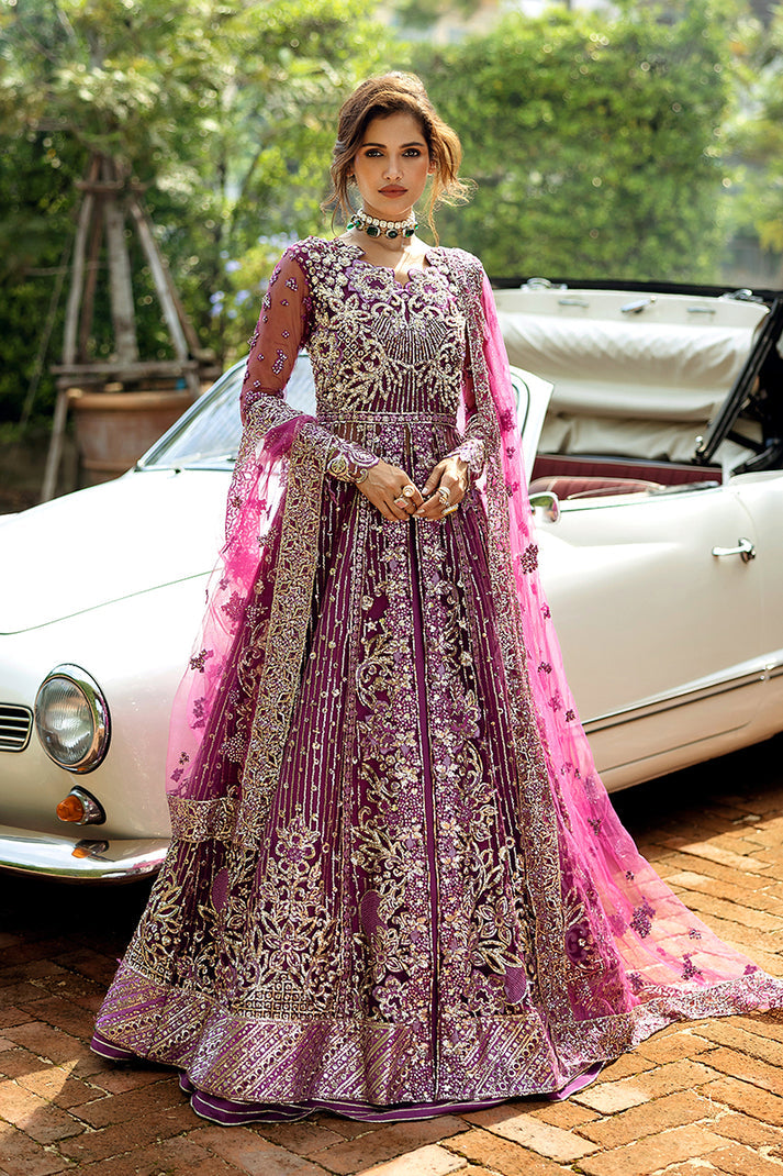 Starstruck Elegance Mushq