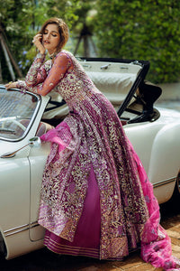 Starstruck Elegance Mushq