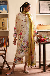 CHANDNI (ZF-25-10)