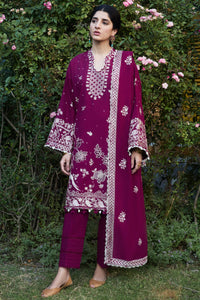 AFREEN (ZW24-12) Zaha