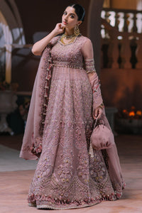 AYSEL (EC2-23-03) Elan