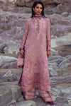 FEZEH (EW23-01) Elan