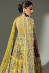 LIME BLOSSOM (EC24-03) Elan