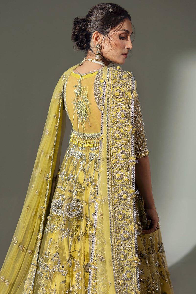 LIME BLOSSOM (EC24-03) Elan