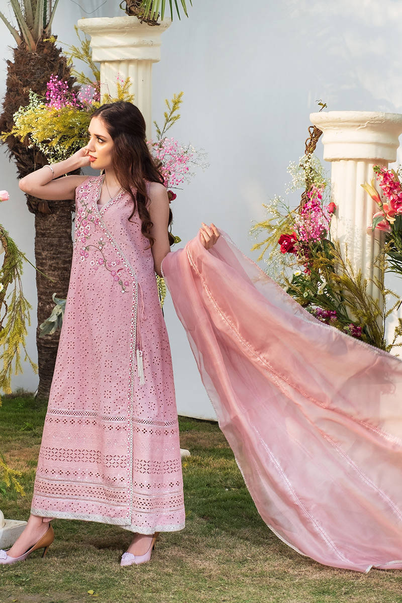 PINK ANGRAKHA CHIKAN Farida Hasan