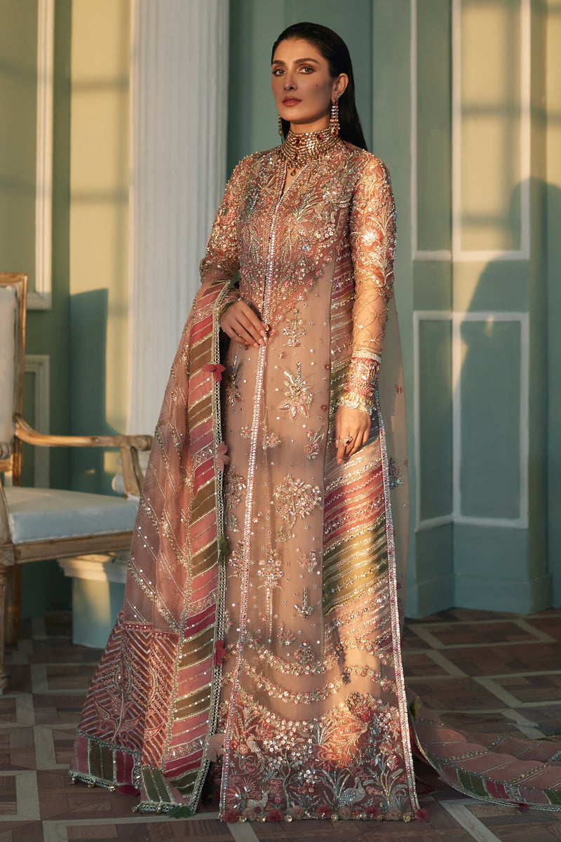 MEHR (EC23-06) Elan