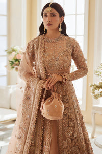 ARIANA (EC23-05) Elan