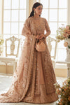 ARIANA (EC23-05) Elan
